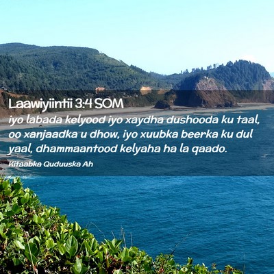 Picture 02 - Laawiyiintii 3:4 SOM - iyo labada kelyood iyo xaydha dushooda ku taal, - Bible Verse Picture