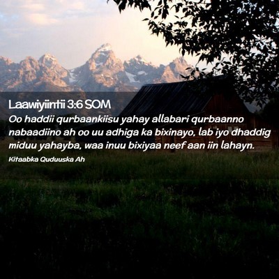 Picture 02 - Laawiyiintii 3:6 SOM - Oo haddii qurbaankiisu yahay allabari qurbaanno - Bible Verse Picture