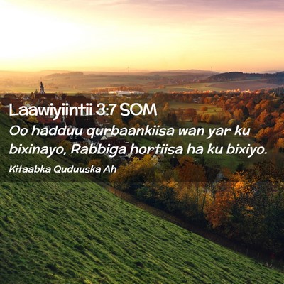 Picture 02 - Laawiyiintii 3:7 SOM - Oo hadduu qurbaankiisa wan yar ku bixinayo, - Bible Verse Picture