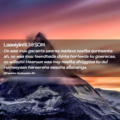 Picture 02 - Laawiyiintii 3:8 SOM - Oo waa inuu gacanta saaraa madaxa neefka - Bible Verse Picture