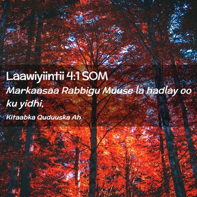 Picture 02 - Laawiyiintii 4:1 SOM - Markaasaa Rabbigu Muuse la hadlay oo ku - Bible Verse Picture
