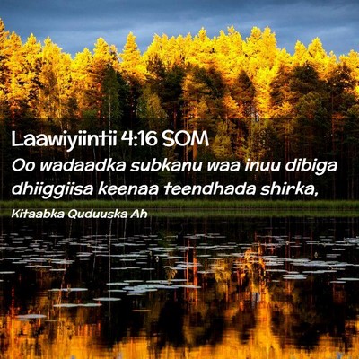 Picture 02 - Laawiyiintii 4:16 SOM - Oo wadaadka subkanu waa inuu dibiga dhiiggiisa - Bible Verse Picture