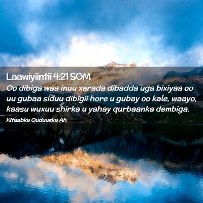Picture 02 - Laawiyiintii 4:21 SOM - Oo dibiga waa inuu xerada dibadda uga bixiyaa oo - Bible Verse Picture