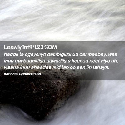 Picture 02 - Laawiyiintii 4:23 SOM - haddii la ogeysiiyo dembigiisii uu dembaabay, waa - Bible Verse Picture