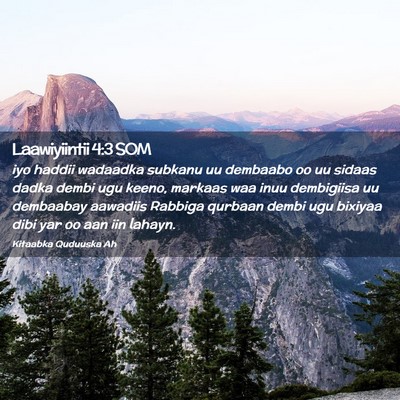 Picture 02 - Laawiyiintii 4:3 SOM - iyo haddii wadaadka subkanu uu dembaabo oo uu - Bible Verse Picture
