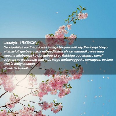 Picture 02 - Laawiyiintii 4:31 SOM - Oo xaydhiisa oo dhanna waa in laga bixiyaa sidii - Bible Verse Picture