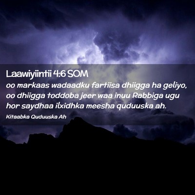 Picture 02 - Laawiyiintii 4:6 SOM - oo markaas wadaadku fartiisa dhiigga ha geliyo, - Bible Verse Picture