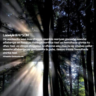 Picture 02 - Laawiyiintii 4:7 SOM - Oo wadaadku waa inuu dhiigga qaarkiis mariyaa - Bible Verse Picture