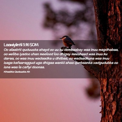 Picture 02 - Laawiyiintii 5:16 SOM - Oo alaabtii quduuska ahayd oo uu ku dembaabay waa - Bible Verse Picture