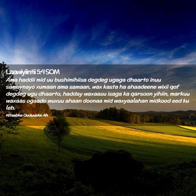 Picture 02 - Laawiyiintii 5:4 SOM - Ama haddii mid uu bushimihiisa degdeg ugaga - Bible Verse Picture