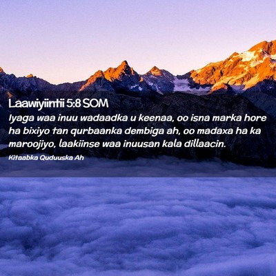 Picture 02 - Laawiyiintii 5:8 SOM - Iyaga waa inuu wadaadka u keenaa, oo isna marka - Bible Verse Picture