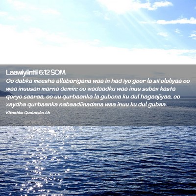 Picture 02 - Laawiyiintii 6:12 SOM - Oo dabka meesha allabarigana waa in had iyo goor - Bible Verse Picture
