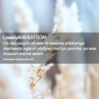 Picture 02 - Laawiyiintii 6:13 SOM - Oo dab joogto ah waa in meesha allabariga - Bible Verse Picture