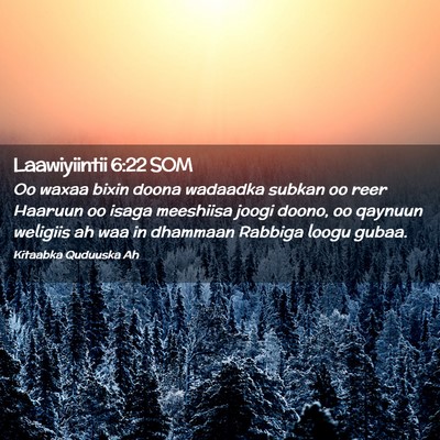 Picture 02 - Laawiyiintii 6:22 SOM - Oo waxaa bixin doona wadaadka subkan oo reer - Bible Verse Picture