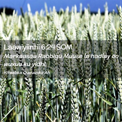 Picture 02 - Laawiyiintii 6:24 SOM - Markaasaa Rabbigu Muuse la hadlay oo wuxuu ku - Bible Verse Picture