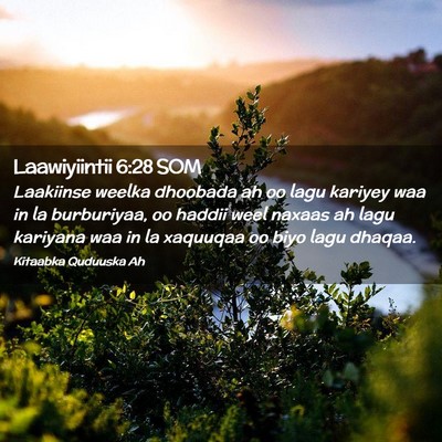 Picture 02 - Laawiyiintii 6:28 SOM - Laakiinse weelka dhoobada ah oo lagu kariyey waa - Bible Verse Picture