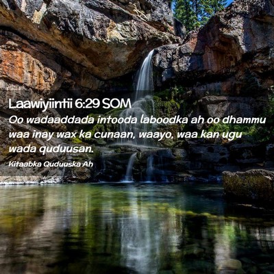 Picture 02 - Laawiyiintii 6:29 SOM - Oo wadaaddada intooda laboodka ah oo dhammu waa - Bible Verse Picture
