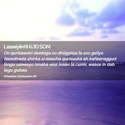 Picture 02 - Laawiyiintii 6:30 SOM - Oo qurbaankii dembiga oo dhiiggiisa la soo geliyo - Bible Verse Picture
