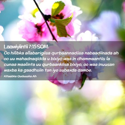 Picture 02 - Laawiyiintii 7:15 SOM - Oo hilibka allabarigiisa qurbaannadiisa - Bible Verse Picture