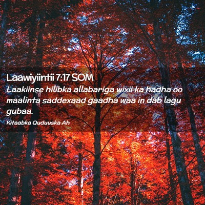 Picture 02 - Laawiyiintii 7:17 SOM - Laakiinse hilibka allabariga wixii ka hadha oo - Bible Verse Picture