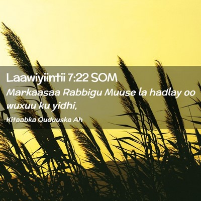 Picture 02 - Laawiyiintii 7:22 SOM - Markaasaa Rabbigu Muuse la hadlay oo wuxuu ku - Bible Verse Picture