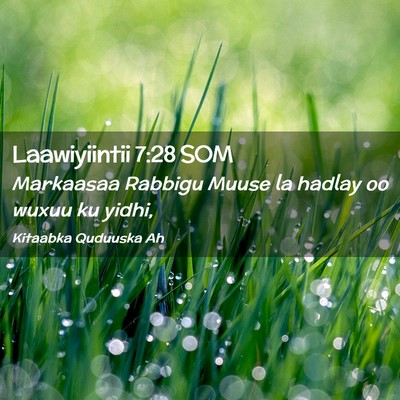 Picture 02 - Laawiyiintii 7:28 SOM - Markaasaa Rabbigu Muuse la hadlay oo wuxuu ku - Bible Verse Picture
