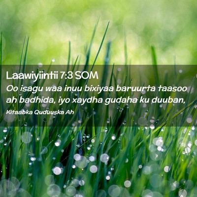 Picture 02 - Laawiyiintii 7:3 SOM - Oo isagu waa inuu bixiyaa baruurta taasoo ah - Bible Verse Picture