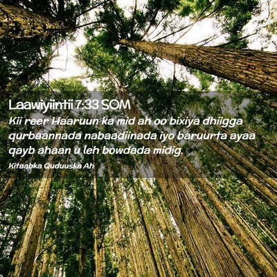 Picture 02 - Laawiyiintii 7:33 SOM - Kii reer Haaruun ka mid ah oo bixiya dhiigga - Bible Verse Picture
