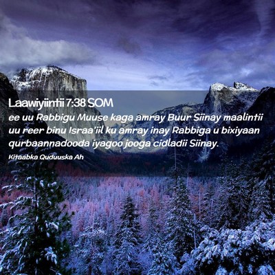 Picture 02 - Laawiyiintii 7:38 SOM - ee uu Rabbigu Muuse kaga amray Buur Siinay - Bible Verse Picture