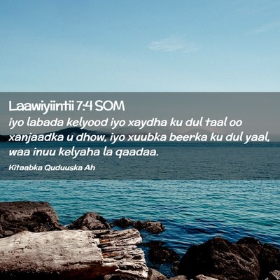 Picture 02 - Laawiyiintii 7:4 SOM - iyo labada kelyood iyo xaydha ku dul taal oo - Bible Verse Picture