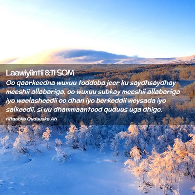 Picture 02 - Laawiyiintii 8:11 SOM - Oo qaarkeedna wuxuu toddoba jeer ku saydhsaydhay - Bible Verse Picture