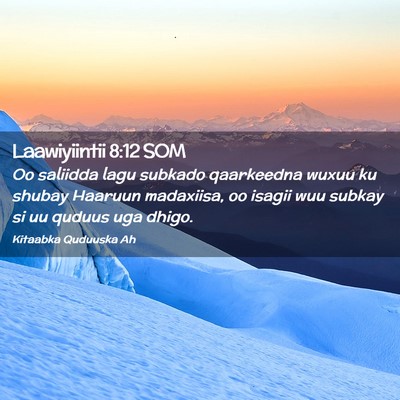 Picture 02 - Laawiyiintii 8:12 SOM - Oo saliidda lagu subkado qaarkeedna wuxuu ku - Bible Verse Picture