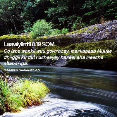 Picture 02 - Laawiyiintii 8:19 SOM - Oo isna wankii wuu gowracay, markaasaa Muuse - Bible Verse Picture