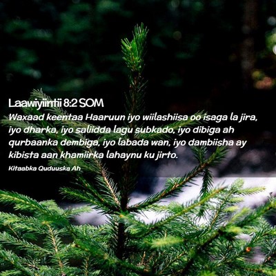 Picture 02 - Laawiyiintii 8:2 SOM - Waxaad keentaa Haaruun iyo wiilashiisa oo isaga - Bible Verse Picture