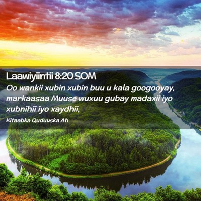 Picture 02 - Laawiyiintii 8:20 SOM - Oo wankii xubin xubin buu u kala googooyay, - Bible Verse Picture