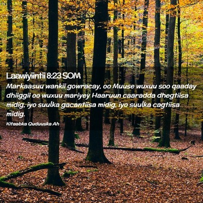 Picture 02 - Laawiyiintii 8:23 SOM - Markaasuu wankii gowracay, oo Muuse wuxuu soo - Bible Verse Picture