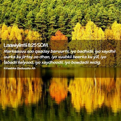 Picture 02 - Laawiyiintii 8:25 SOM - Markaasuu soo qaaday baruurtii, iyo badhidii, iyo - Bible Verse Picture
