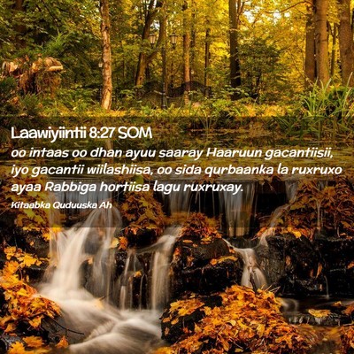 Picture 02 - Laawiyiintii 8:27 SOM - oo intaas oo dhan ayuu saaray Haaruun - Bible Verse Picture
