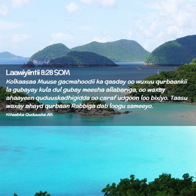 Picture 02 - Laawiyiintii 8:28 SOM - Kolkaasaa Muuse gacmahoodii ka qaaday oo wuxuu - Bible Verse Picture