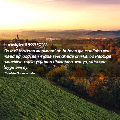 Picture 02 - Laawiyiintii 8:35 SOM - Oo intii toddoba maalmood ah habeen iyo maalinba - Bible Verse Picture