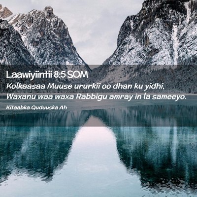 Picture 02 - Laawiyiintii 8:5 SOM - Kolkaasaa Muuse ururkii oo dhan ku yidhi, Waxanu - Bible Verse Picture