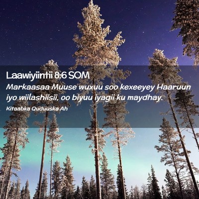 Picture 02 - Laawiyiintii 8:6 SOM - Markaasaa Muuse wuxuu soo kexeeyey Haaruun iyo - Bible Verse Picture