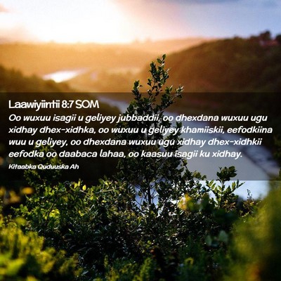 Picture 02 - Laawiyiintii 8:7 SOM - Oo wuxuu isagii u geliyey jubbaddii, oo dhexdana - Bible Verse Picture