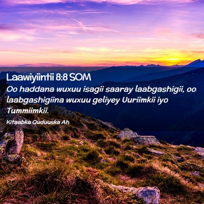 Picture 02 - Laawiyiintii 8:8 SOM - Oo haddana wuxuu isagii saaray laabgashigii, oo - Bible Verse Picture