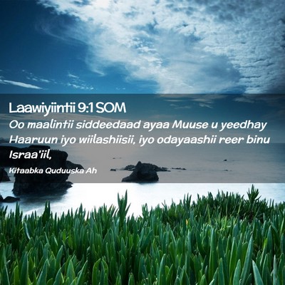 Picture 02 - Laawiyiintii 9:1 SOM - Oo maalintii siddeedaad ayaa Muuse u yeedhay - Bible Verse Picture