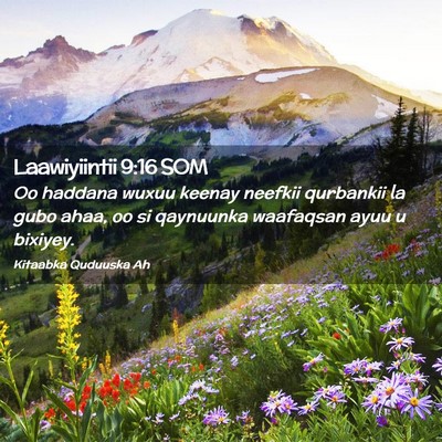 Picture 02 - Laawiyiintii 9:16 SOM - Oo haddana wuxuu keenay neefkii qurbankii la gubo - Bible Verse Picture