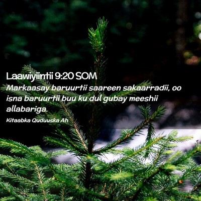 Picture 02 - Laawiyiintii 9:20 SOM - Markaasay baruurtii saareen sakaarradii, oo isna - Bible Verse Picture