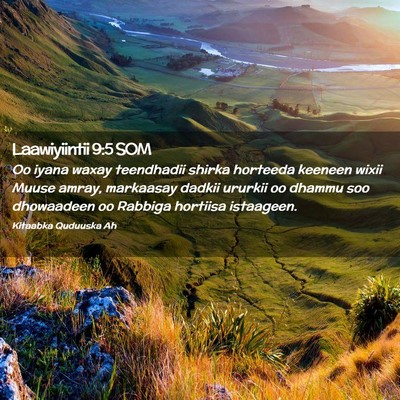Picture 02 - Laawiyiintii 9:5 SOM - Oo iyana waxay teendhadii shirka horteeda keeneen - Bible Verse Picture