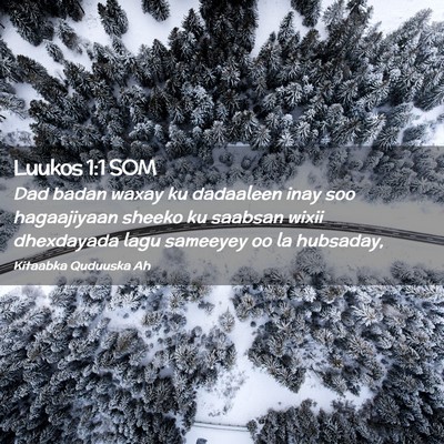 Picture 02 - Luukos 1:1 SOM - Dad badan waxay ku dadaaleen inay soo hagaajiyaan - Bible Verse Picture