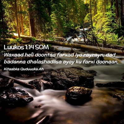 Picture 02 - Luukos 1:14 SOM - Waxaad heli doontaa farxad iyo rayrayn; dad - Bible Verse Picture